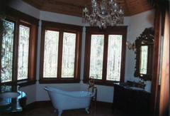 Donlan mstr bath tub
